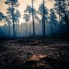 stage-paysage-rennes-mars2012-30-100x100.jpg