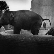 Stage photo Composition et cadrage | Tours