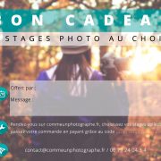 Bon cadeau 2 stages photo